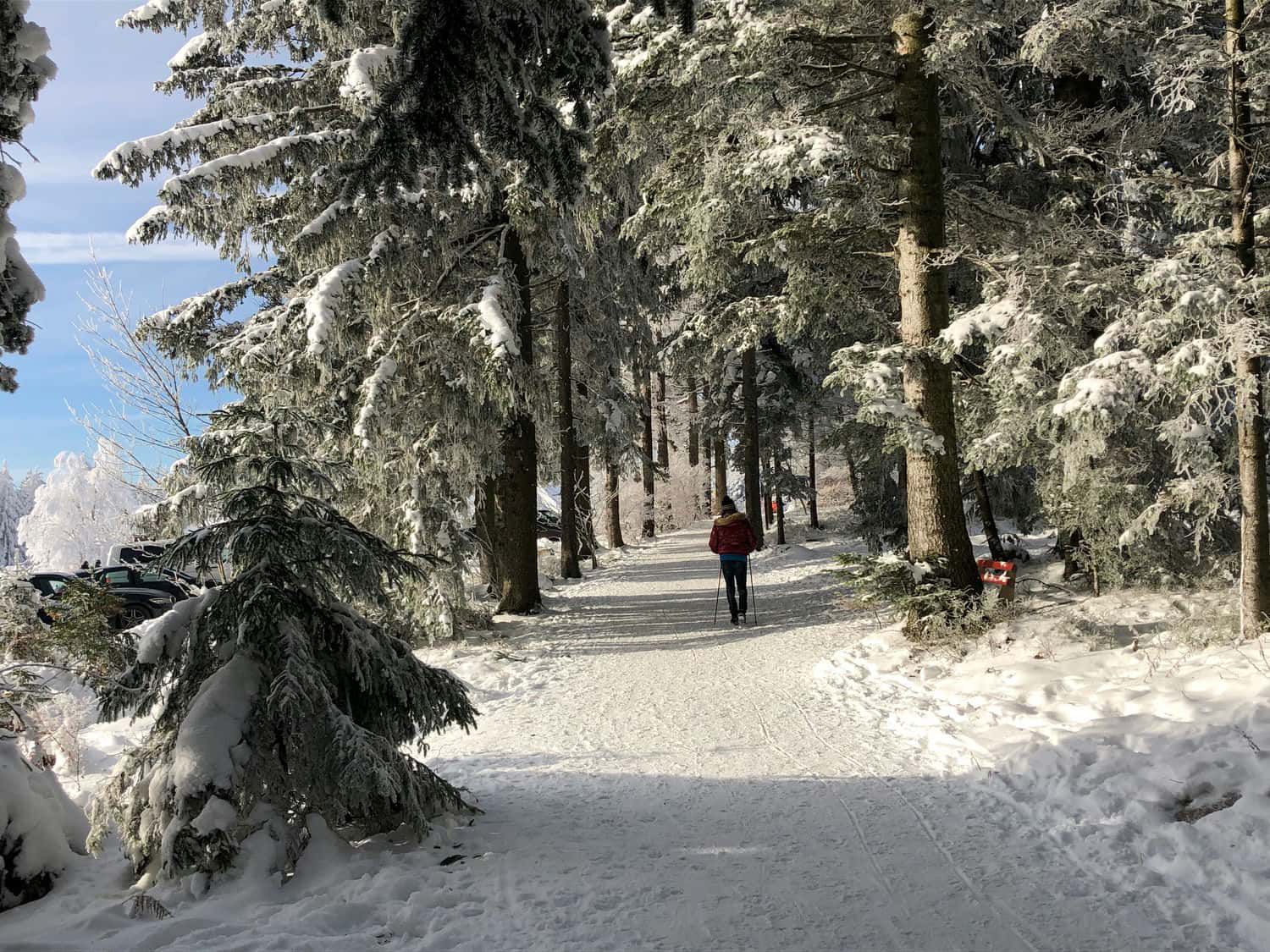 Ferienhaus Freudenstadt Winter Langlauf